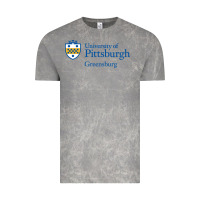 Cloud Rock University of Pittsburgh at Greensburg, Vintage Tee - linhVisuals