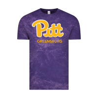 Cloud Purple UPG, Pitt-Greensburg, Bobcats, Vintage Tee - linhVisuals