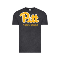 Vintage Black UPG, Pitt-Greensburg, Bobcats, Vintage Tee - linhVisuals