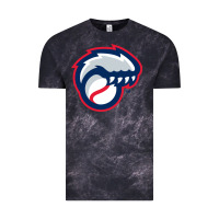 Cloud Black new hampshire fisher cats Vintage Tee - linhVisuals