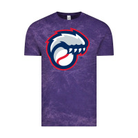 Cloud Purple new hampshire fisher cats Vintage Tee - linhVisuals