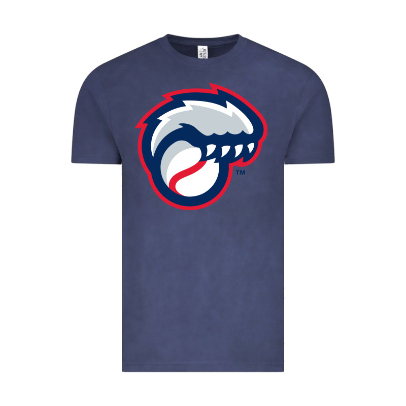 New Hampshire Fisher Cats Vintage Tee by linhVisuals | Teevron