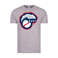 Vintage Zinc new hampshire fisher cats Vintage Tee - linhVisuals