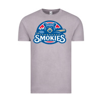 Vintage Zinc tennessee smokies Vintage Tee - linhVisuals