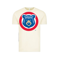 Vintage Arctic tennessee smokies Vintage Tee - linhVisuals