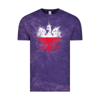 Polish Eagle  Polish Pride  Polish Flag  Polish T Shirt Vintage Tee | Teevron