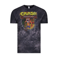 Crash Bandicoot 1966 Vintage Tee | Teevron