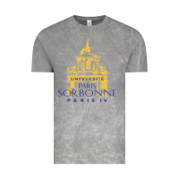 Cloud Rock universite paris la sorbonne Vintage Tee - linhVisuals