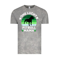 Cloud Rock funny st patrick's day one lucky pitbull mama pitbulldog t shirt Vintage Tee - linhVisuals