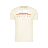 Vintage Arctic san diego california Vintage Tee - linhVisuals
