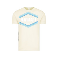 Vintage Arctic hawaii the aloha state   aloha hawaiian from the islands!! t shirt Vintage Tee - linhVisuals