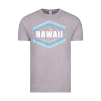 Vintage Zinc hawaii the aloha state   aloha hawaiian from the islands!! t shirt Vintage Tee - linhVisuals