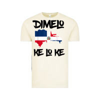 Vintage Arctic dimelo ke lo ke dominican republic shirt for men woman kids t shirt Vintage Tee - linhVisuals