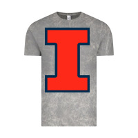 Cloud Rock illinois fighting illini Vintage Tee - linhVisuals