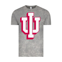 Cloud Rock indiana hoosiers Vintage Tee - linhVisuals