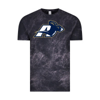 Cloud Black akron university zips Vintage Tee - linhVisuals