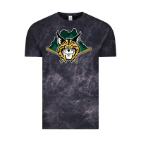 Cloud Black lynchburg hillcats Baseball Vintage Tee - linhVisuals