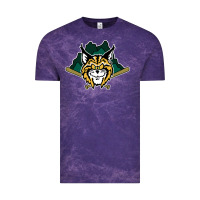 Cloud Purple lynchburg hillcats Baseball Vintage Tee - linhVisuals