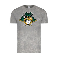 Cloud Rock lynchburg hillcats Baseball Vintage Tee - linhVisuals