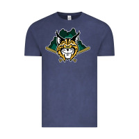 Vintage Denim lynchburg hillcats Baseball Vintage Tee - linhVisuals