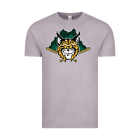 Vintage Zinc lynchburg hillcats Baseball Vintage Tee - linhVisuals