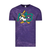 Cloud Purple the myrtle beach pelicans baseball Vintage Tee - linhVisuals