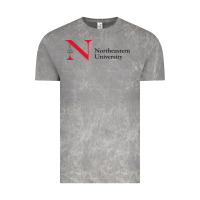 Cloud Rock The the northeastern Vintage Tee - linhVisuals