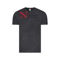 Vintage Black The the northeastern Vintage Tee - linhVisuals