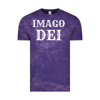 Imago Dei Image Of God Christian T Shirt Reformed Jesus Vintage Tee | Teevron