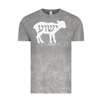 Cloud Rock isaiah 53 lamb yeshua jesus t shirt Vintage Tee - linhVisuals