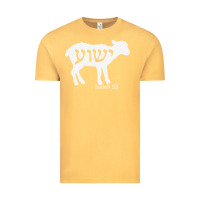 Isaiah 53 Lamb Yeshua Jesus T Shirt Vintage Tee | Teevron