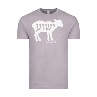 Vintage Zinc isaiah 53 lamb yeshua jesus t shirt Vintage Tee - linhVisuals