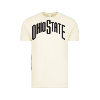 Vintage Arctic OSU, athletics gear Vintage Tee - linhVisuals