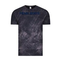 Cloud Black Nittany lions, PSU,  athletics gear Vintage Tee - linhVisuals