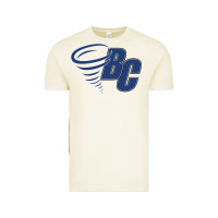 Vintage Arctic brevard college Vintage Tee - linhVisuals