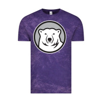 Cloud Purple bowdoin college Vintage Tee - linhVisuals