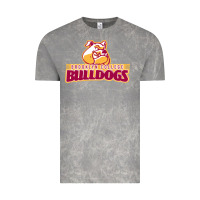 Cloud Rock brooklyn college Vintage Tee - linhVisuals