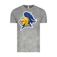 Cloud Rock Carleton College Vintage Tee - linhVisuals