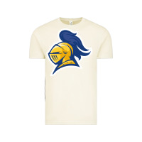 Vintage Arctic Carleton College Vintage Tee - linhVisuals