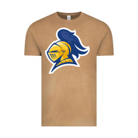 Vintage Camel Carleton College Vintage Tee - linhVisuals
