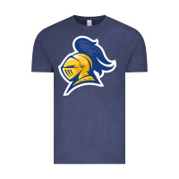 Vintage Denim Carleton College Vintage Tee - linhVisuals