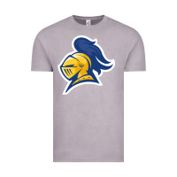 Vintage Zinc Carleton College Vintage Tee - linhVisuals