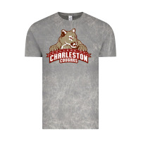 Cloud Rock charleston cougars Vintage Tee - linhVisuals