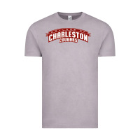 Vintage Zinc charleston cougars Vintage Tee - linhVisuals
