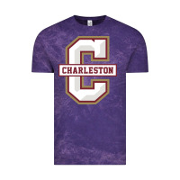 Cloud Purple charleston cougars Vintage Tee - linhVisuals