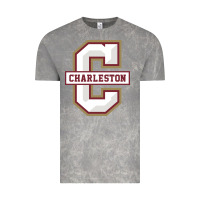 Cloud Rock charleston cougars Vintage Tee - linhVisuals