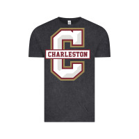 Vintage Black charleston cougars Vintage Tee - linhVisuals