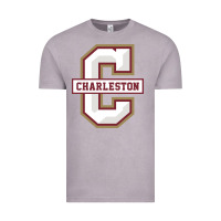 Vintage Zinc charleston cougars Vintage Tee - linhVisuals