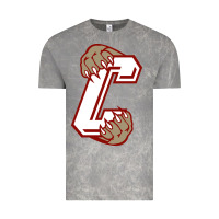 Cloud Rock charleston cougars Vintage Tee - linhVisuals