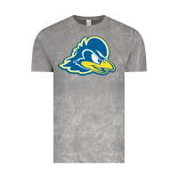 Cloud Rock delaware blue hens Vintage Tee - linhVisuals